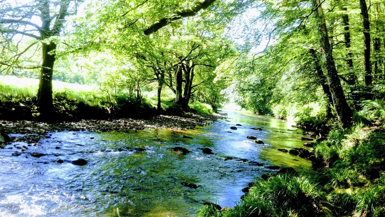 Devon stream